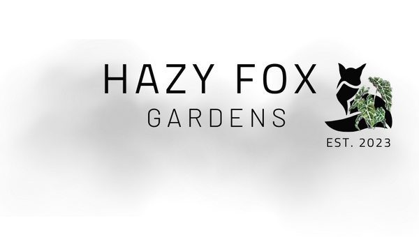 Hazy Fox Gardens