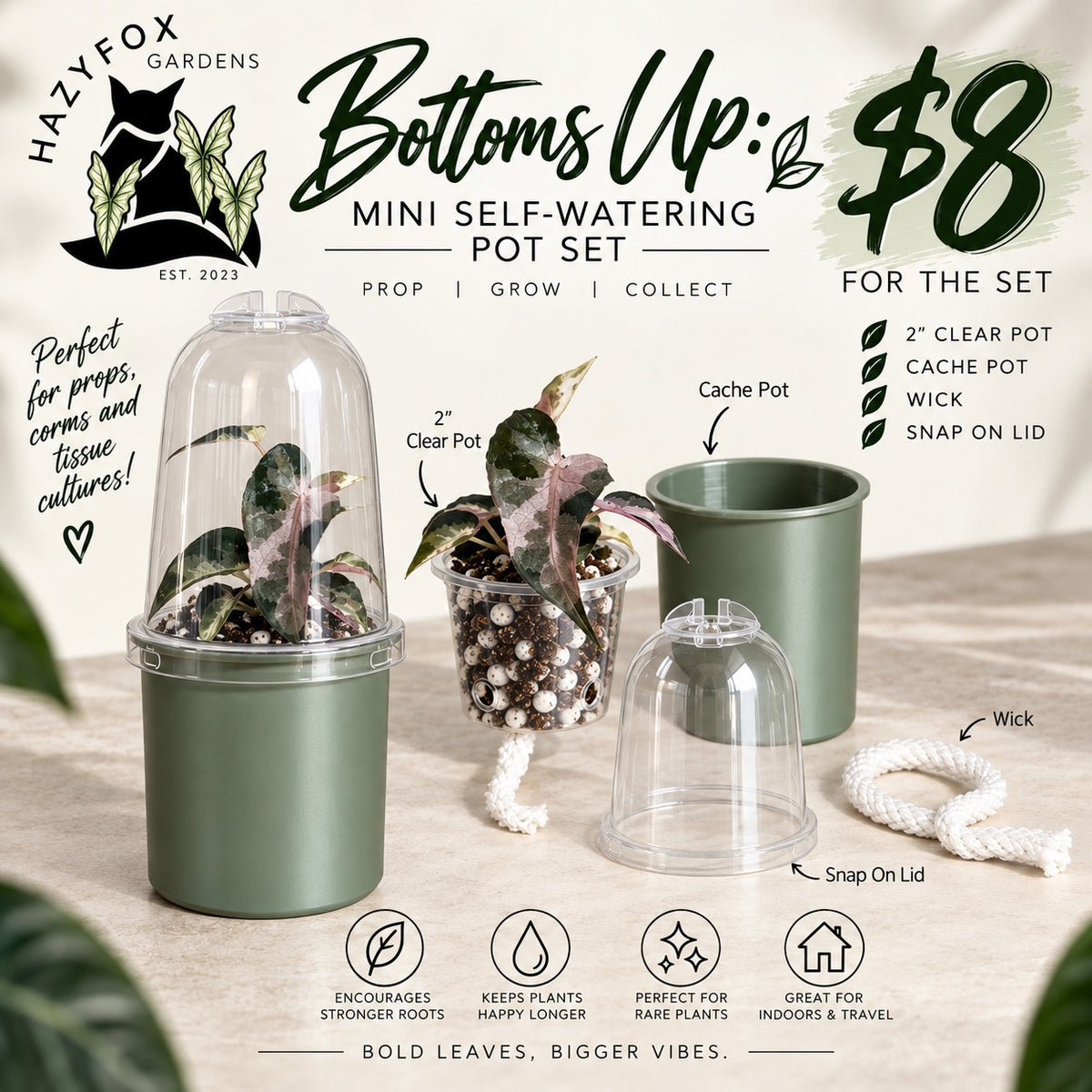 Bottoms Up mini 2 inch self-watering set