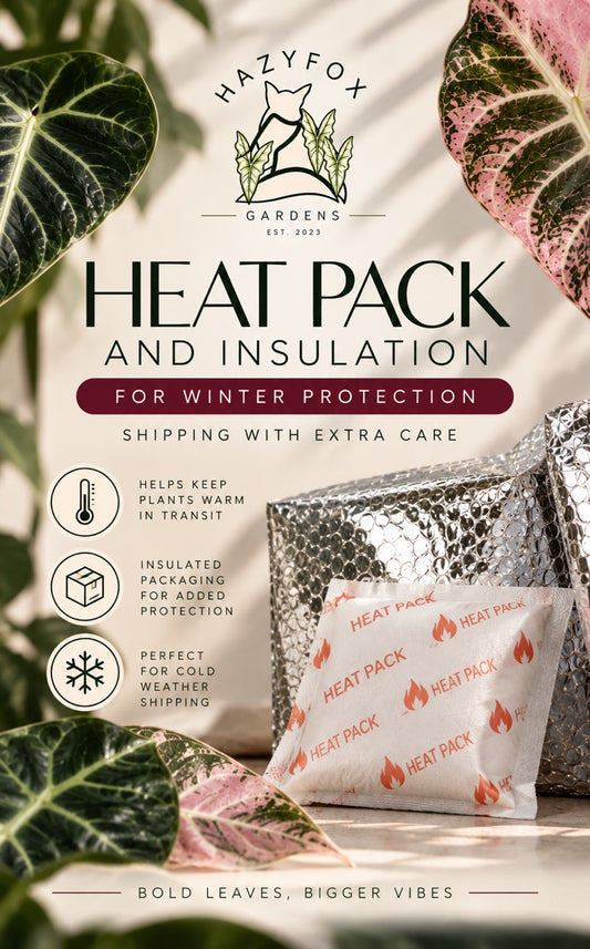 Heat pack and insulation