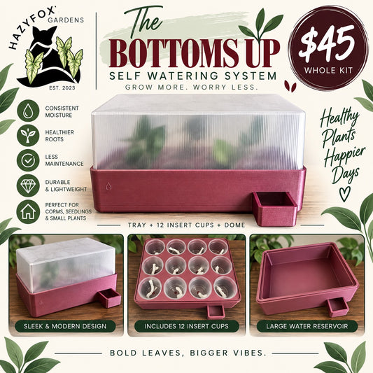 Bottoms Up Self-Watering Tray