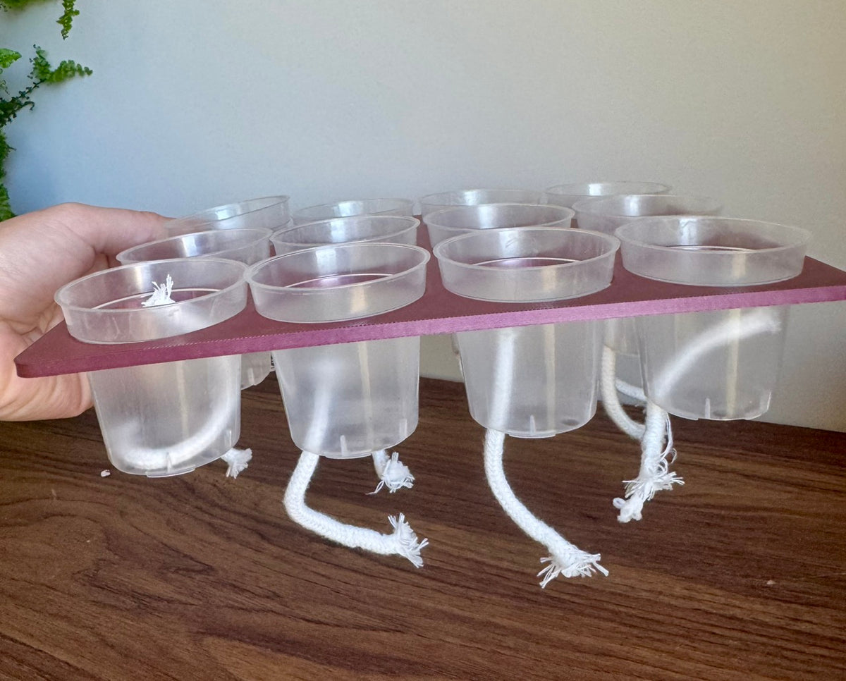 Bottoms Up Self-Watering Station